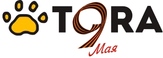 Логотип Tora